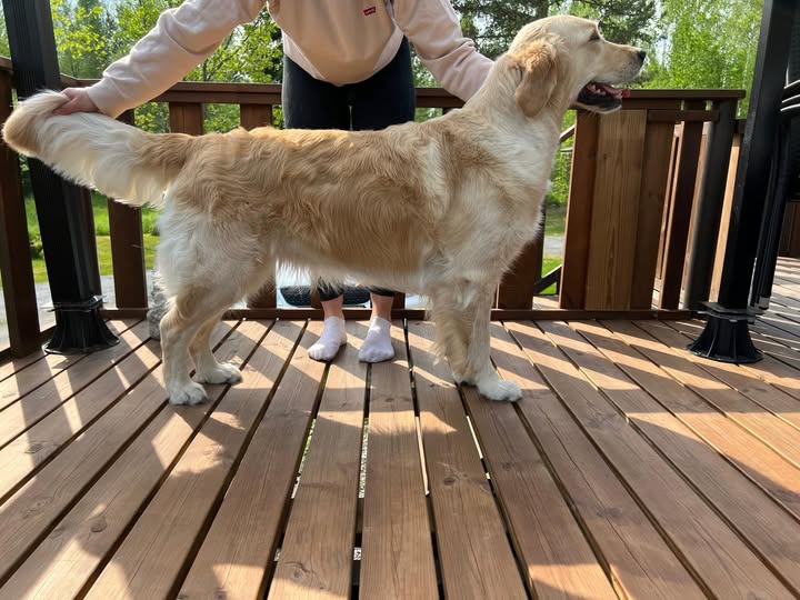 nala